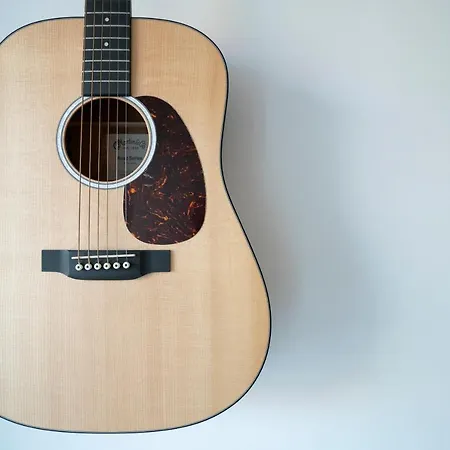 Naturart Vendeghaz Tiszafüred